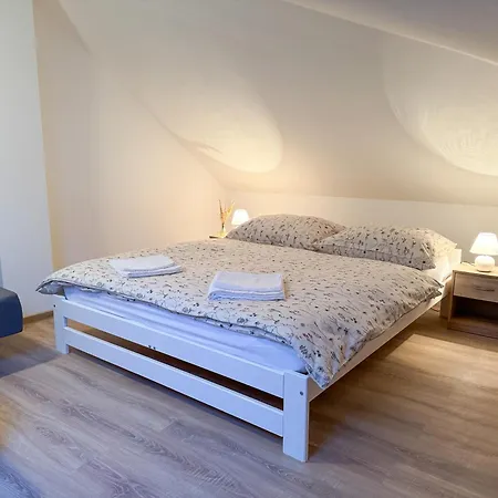 U Cerneho Orla Apartment Karlovy Vary
