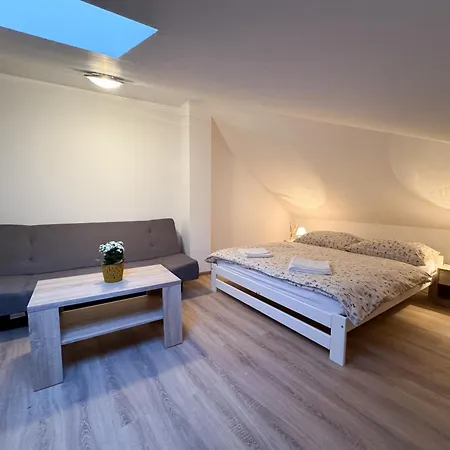 Apartment U Cerneho Orla Karlovy Vary