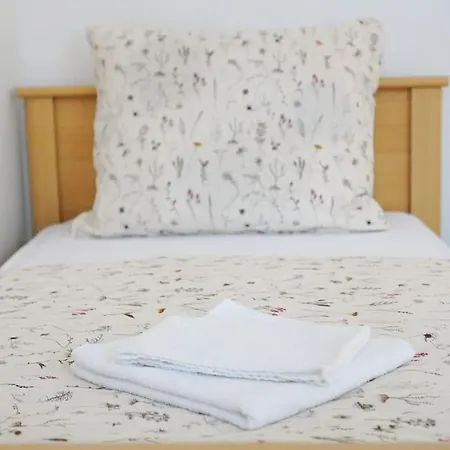 U Cerneho Orla Apartment Karlovy Vary