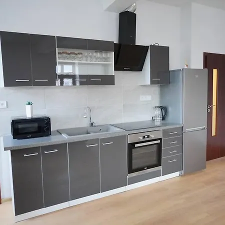 U Cerneho Orla Apartment